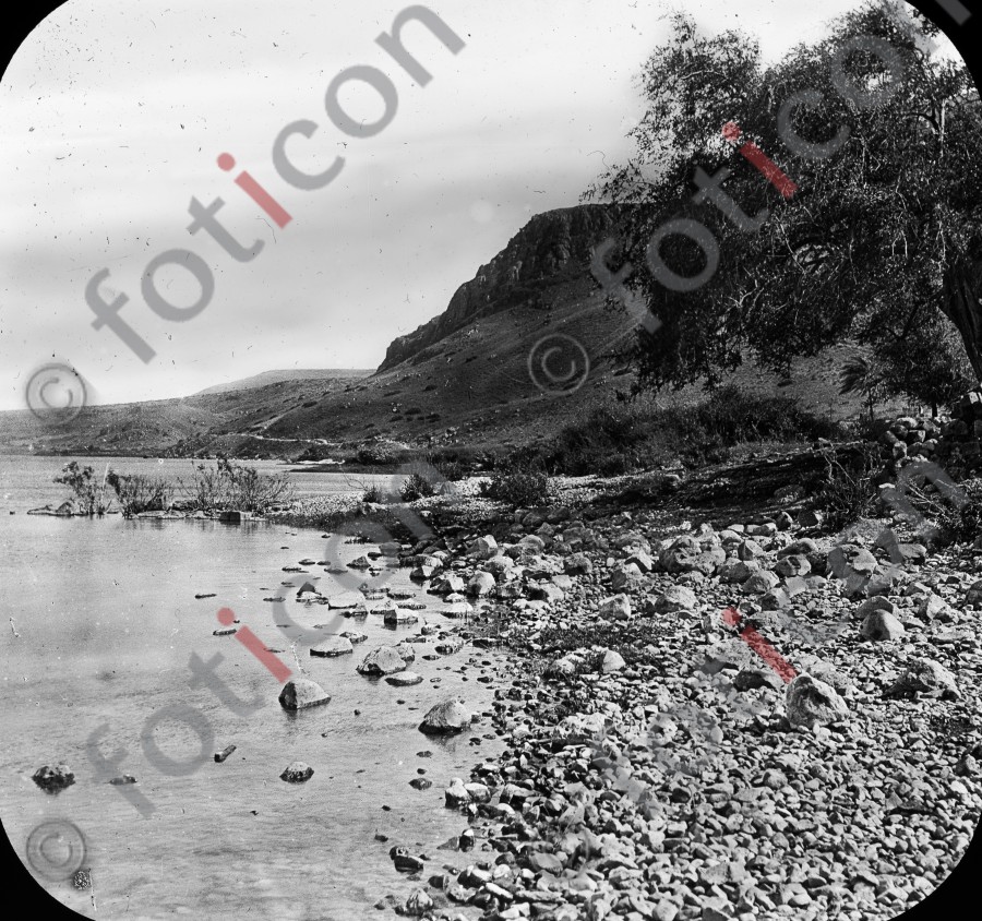 Der See Genezareth | The Sea of Galilee - Foto foticon-simon-heiligesland-54-067-sw.jpg | foticon.de - Bilddatenbank für Motive aus Geschichte und Kultur